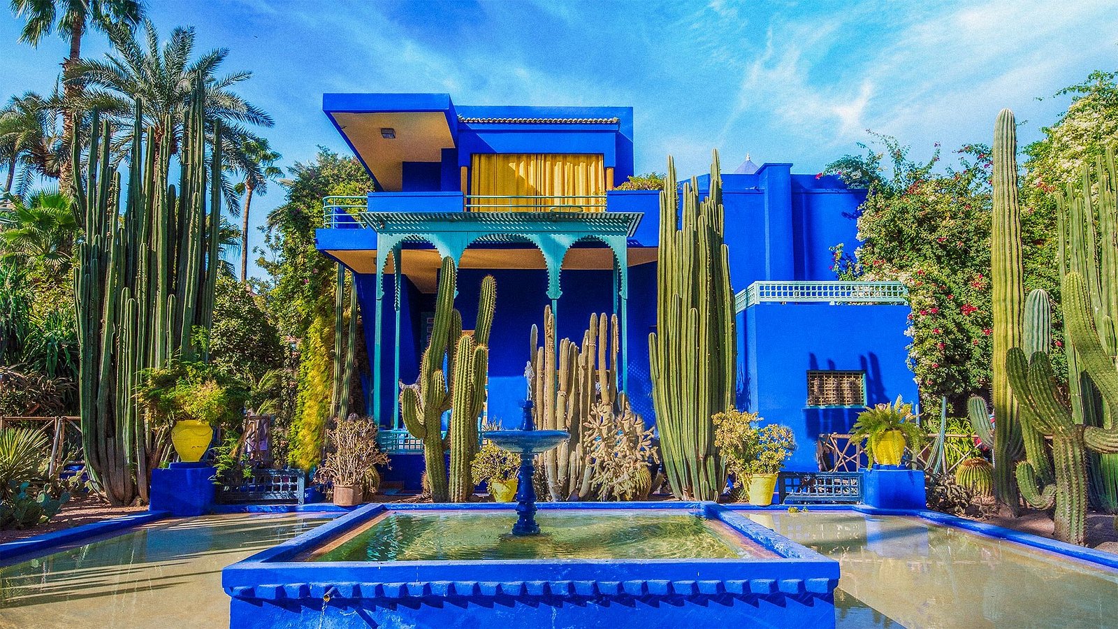 Allée principale des Jardins Majorelle et son célèbre bleu